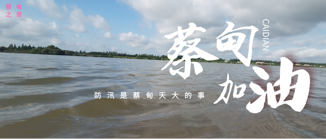 蔡甸區(qū)啟動防汛ⅰ級應(yīng)急響應(yīng)，做好鋪土釘防汛木樁工作