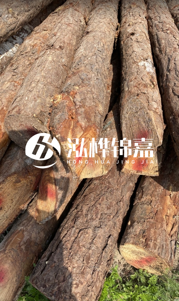<strong>松木樁和杉木樁的用途區(qū)別？哪個(gè)更適合打樁用？</strong>