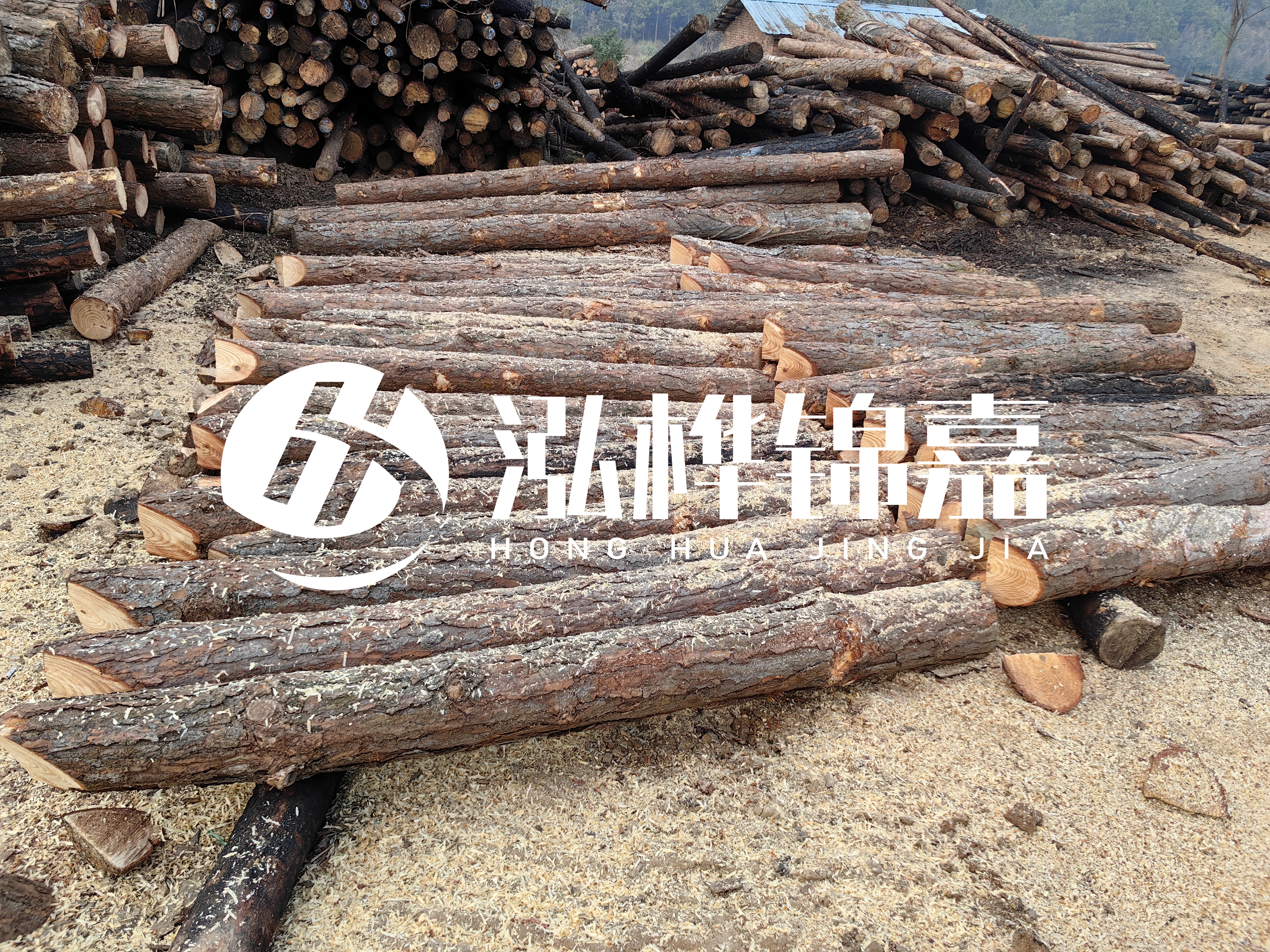 河道打樁木重復(fù)利用嗎？