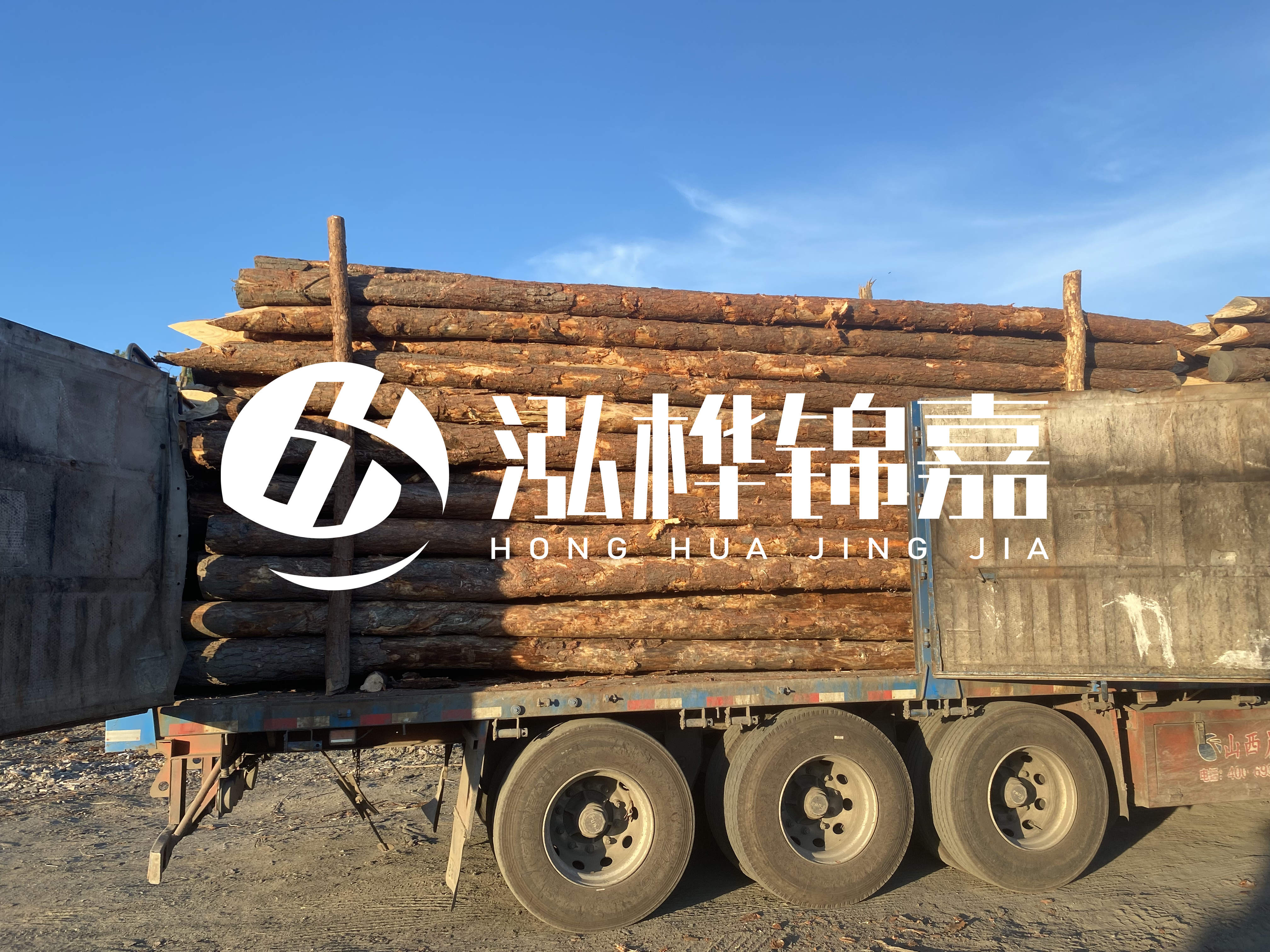 河道治理為什么要用松木樁？