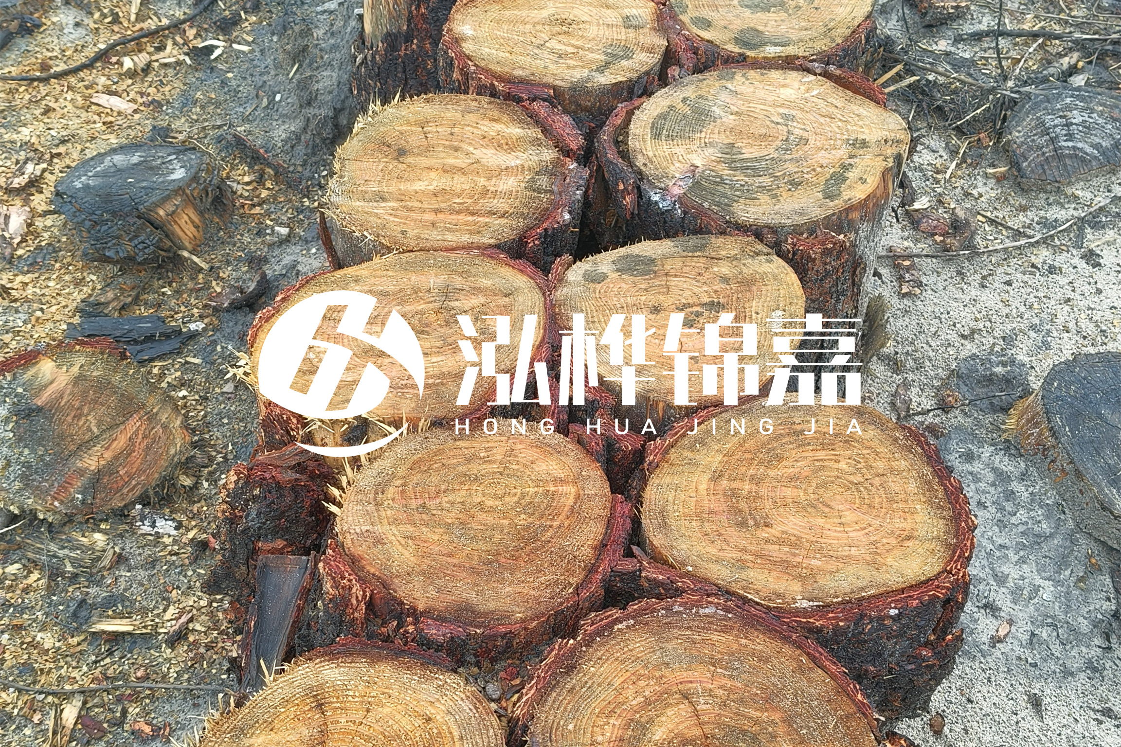 浙江臺(tái)州有清淤的公司嗎？浙江臺(tái)州有清淤施工隊(duì)嗎？