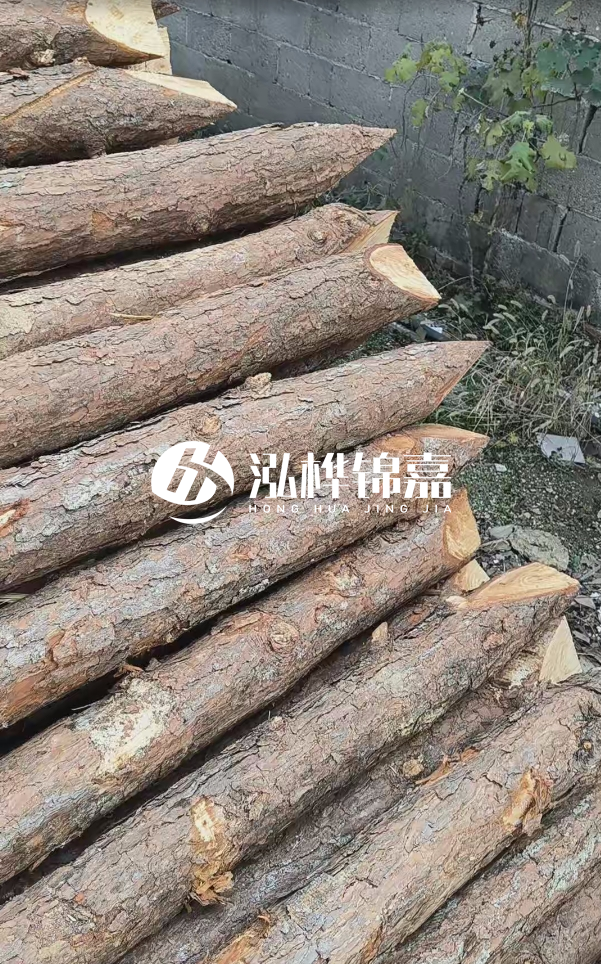 松木樁哪里能大量供應(yīng)？4米20公分松木樁價格是多少？