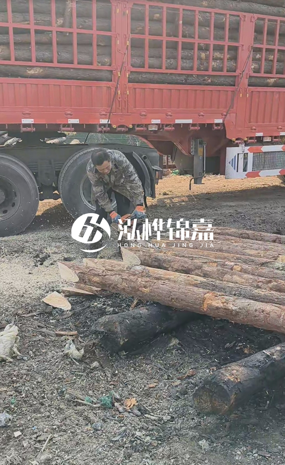 2米松木樁多少錢一根？15-20CM直徑價格是多少？