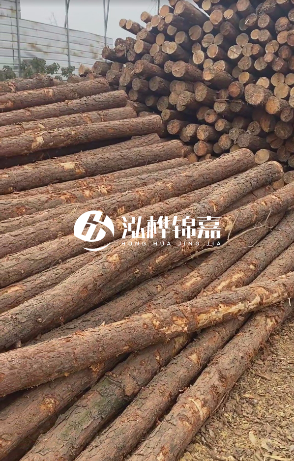 山西河道木樁護(hù)岸價格多少錢一米-每米河道打樁要花多少錢？