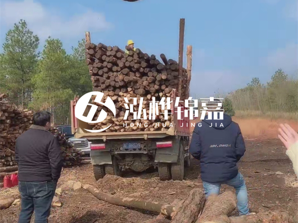 防腐木樁價格比普通木樁貴多少？防腐木樁有哪些處理方式？
