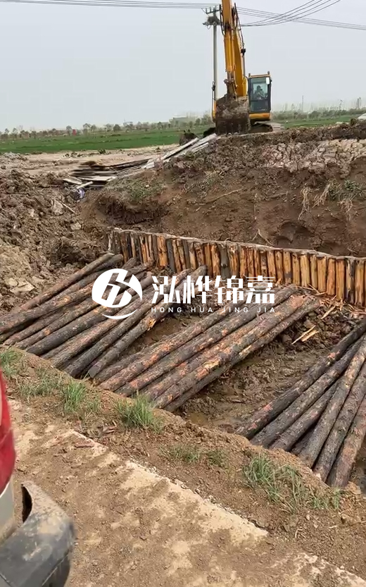 4米直徑12-13油松批發(fā)價最低多少？報價含稅含運嗎？