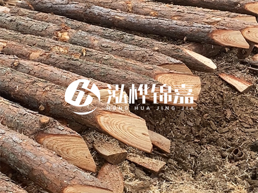 松木樁削尖的費用怎么算？按根收費還是包含在單價里？